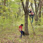 2022年春の森冒険キャンプ募集（定員に達しました）